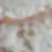 이윤채