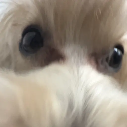 yuxznn__의 김보리