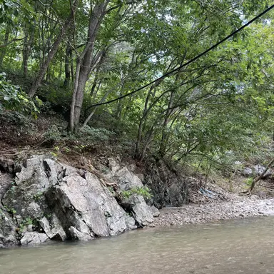 Profile image of 엄마