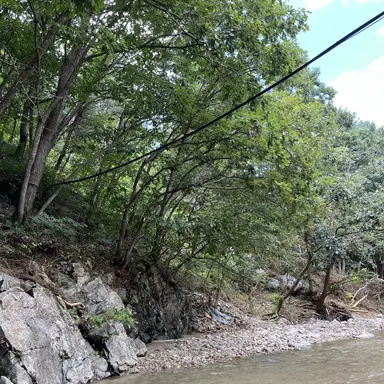 Profile image of 윤동희