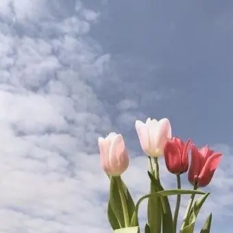 Profile image of 양정인