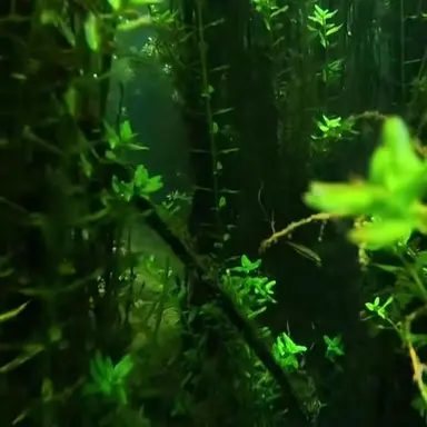 Profile image of 여우