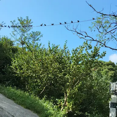 Profile image of 우 소은