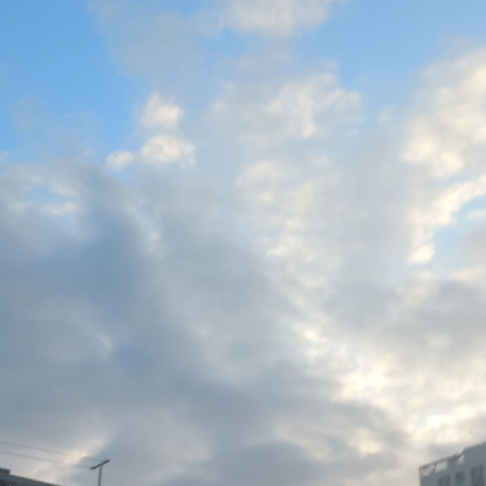 비스티에선생님