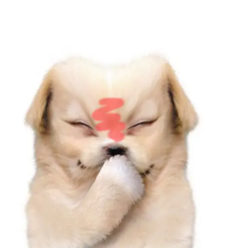 SureLoan5860의 안혜수