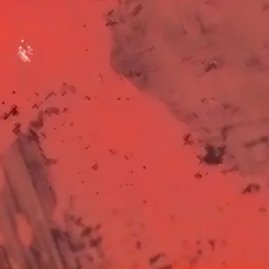 Profile image of 白石 美緒