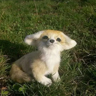 Profile image of 노을이