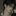 재영준
