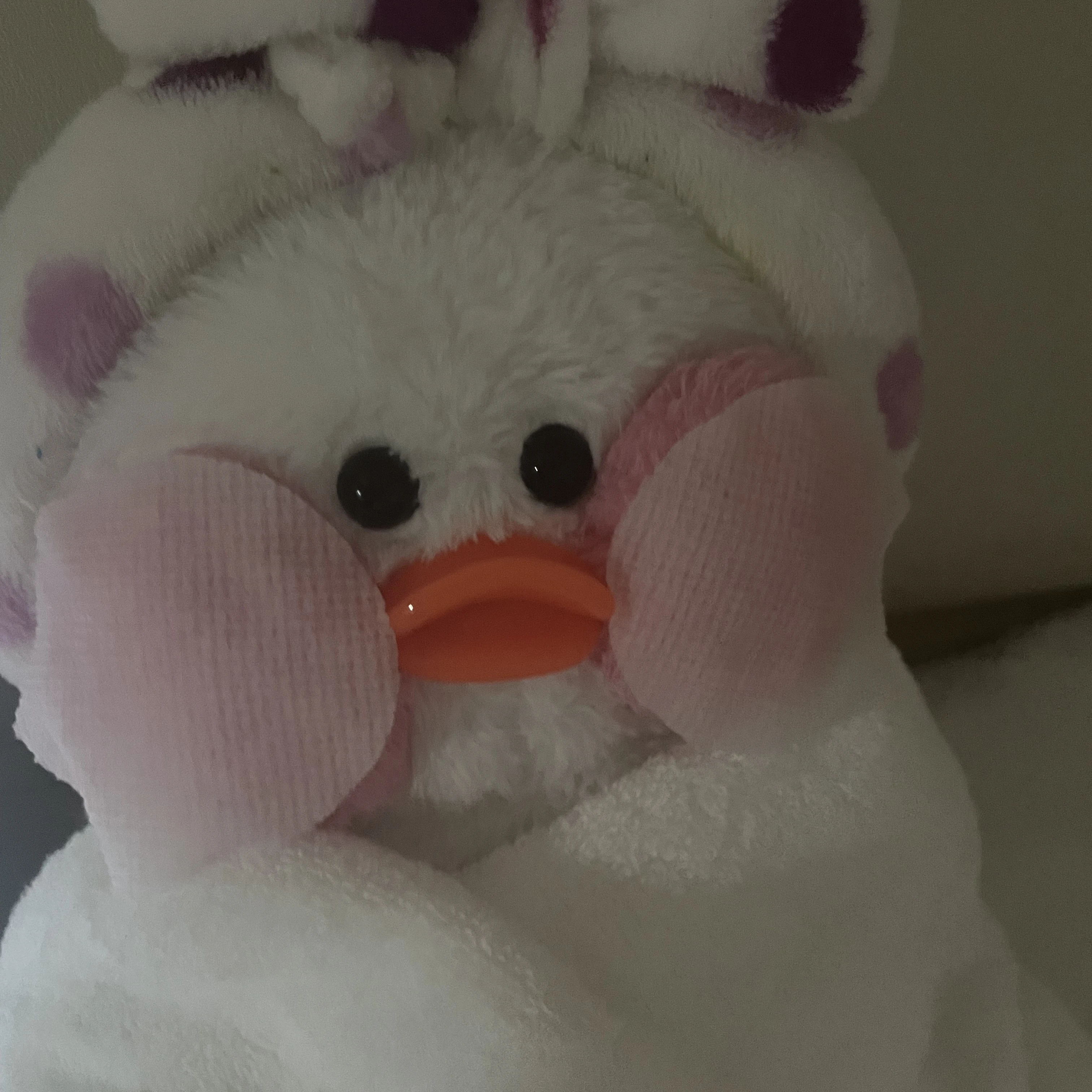 웃소 태훈 당신은 소정