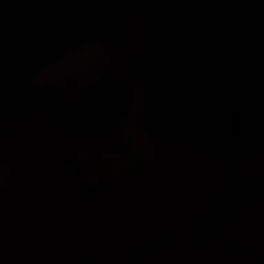 Profile image of 오시온