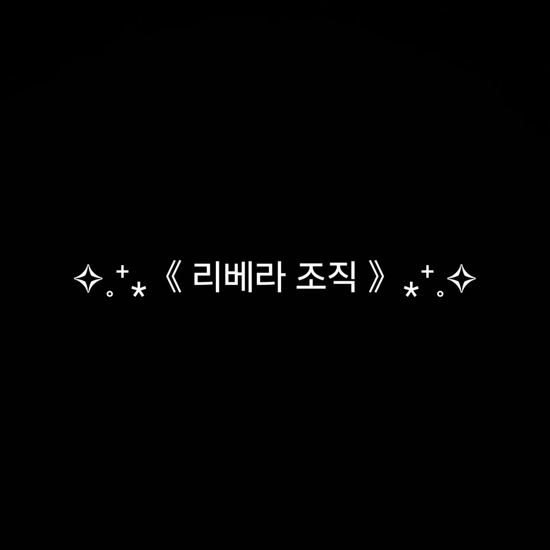 WellShell2703의 ✧˳⁺⁎《 리베라 조직 》⁎⁺˳✧
