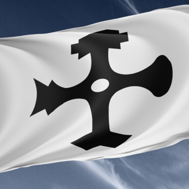 실리카겔 대표 이미지