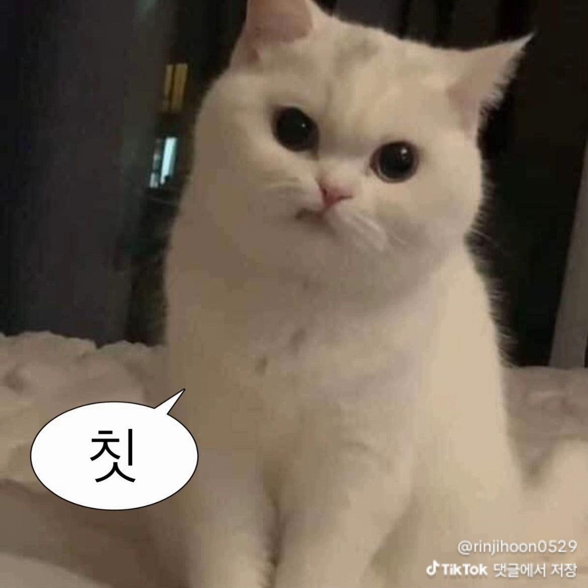 내가 원하는 살롱드립 없어서 만듬 대표 이미지