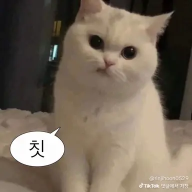 Profile image of 장도연
