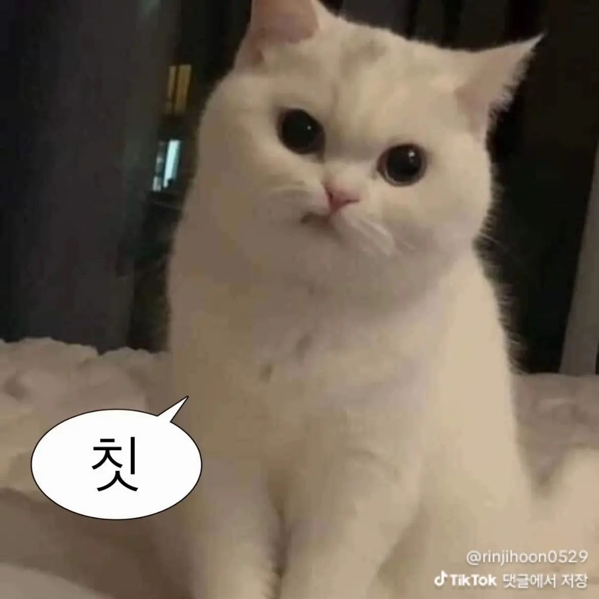 MeanStraw9523의 내가 원하는 살롱드립 없어서 만듬