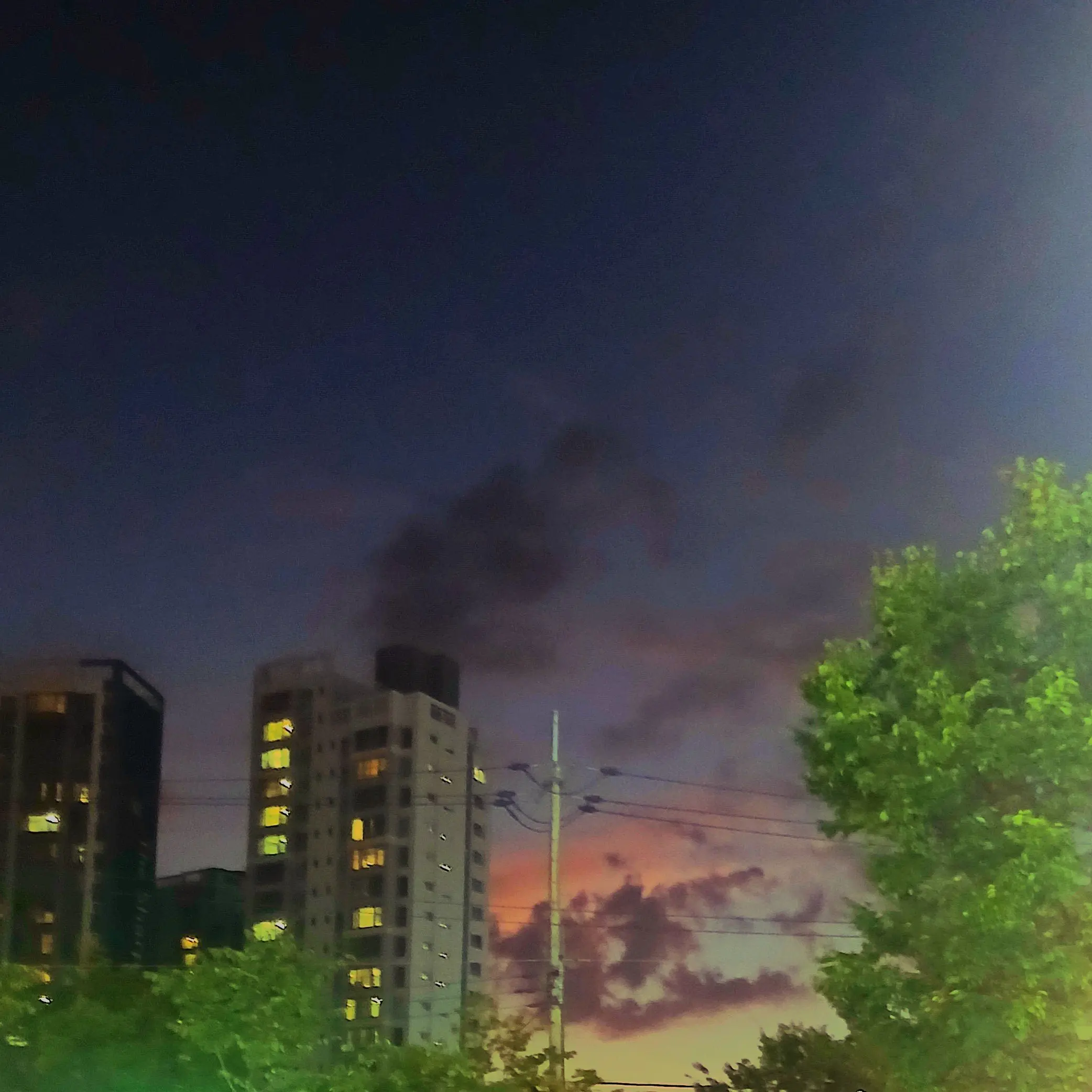 Luyu_kim의 안녕