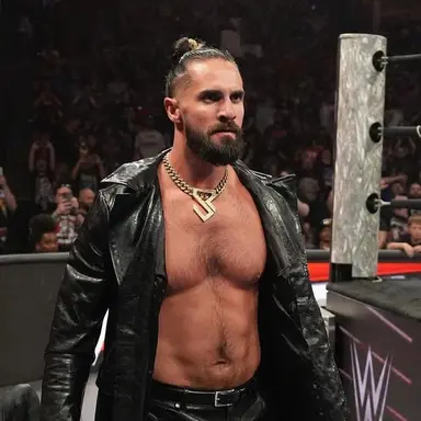 Profile image of Seth rollins