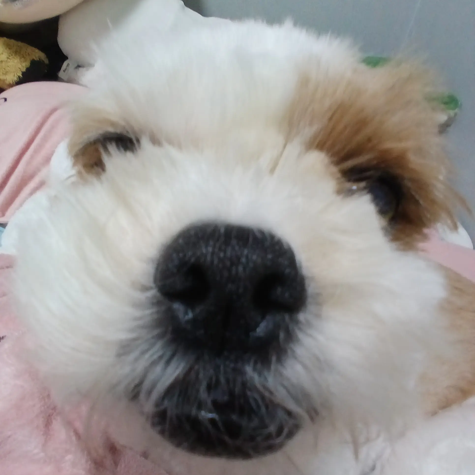 WideTaxi4623의 김쭈