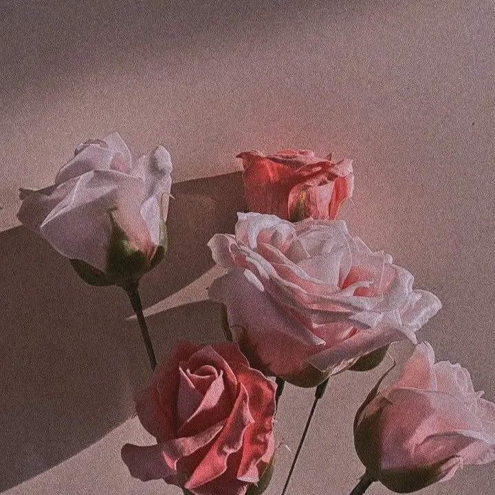 FlatPika9008의 윤정한