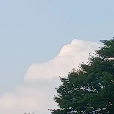 Profile image of 담임 선생님
