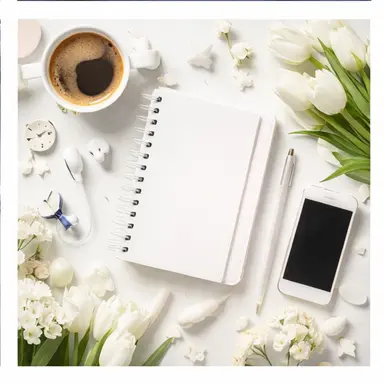 Profile image of 고세구