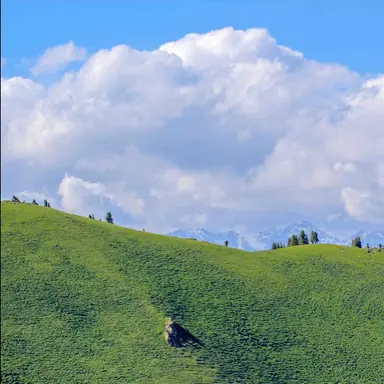 Profile image of 빅뱅