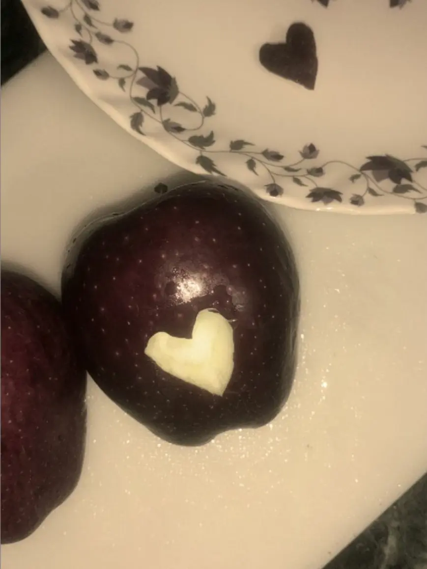 eight_time의 정공룡