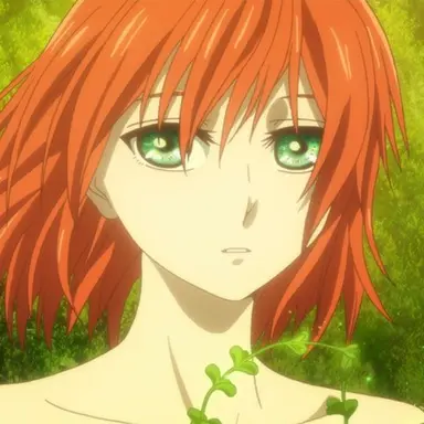 Profile image of チセ