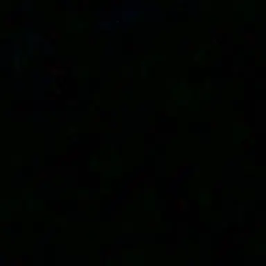 Profile image of YURI