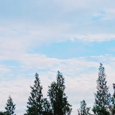 Profile image of 연희