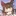와카모(수영복)