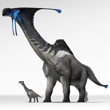 Profile image of Stormveil Longnecks