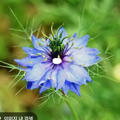 Profile image of 오보로 기유