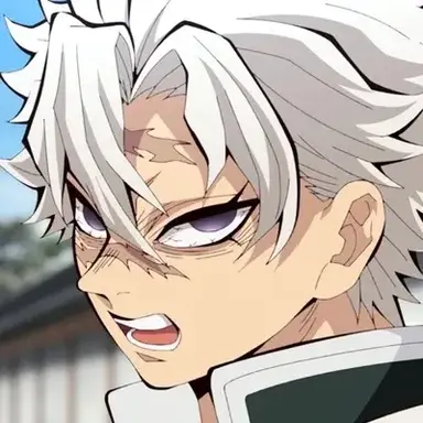 Profile image of Hashiras