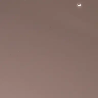 Profile image of 최은우