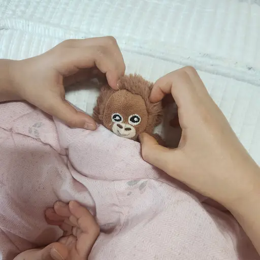 Hayoon0326의 고숭이 키우기