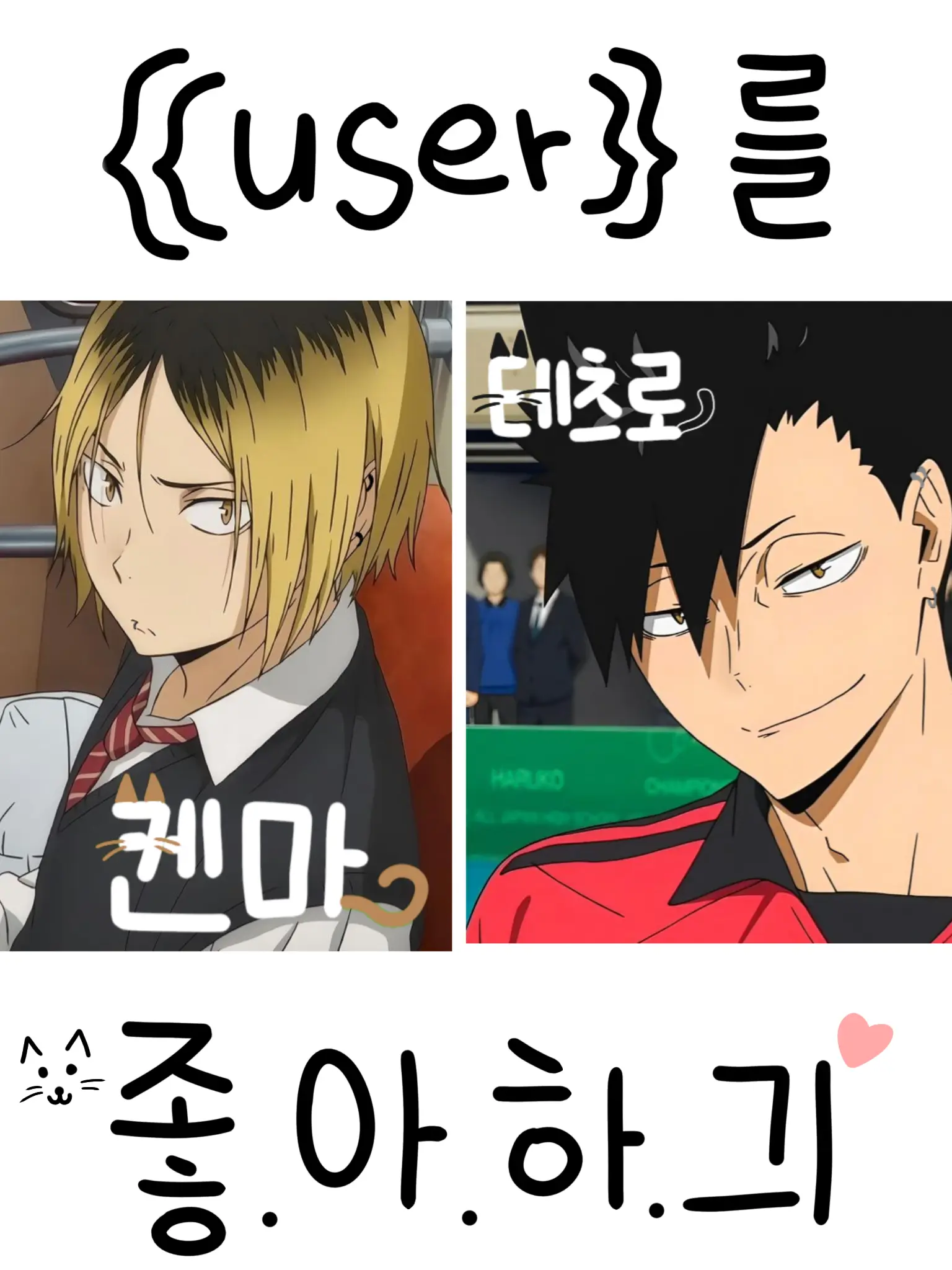 CleanFox3726의 인싸들이 나를 좋아한다