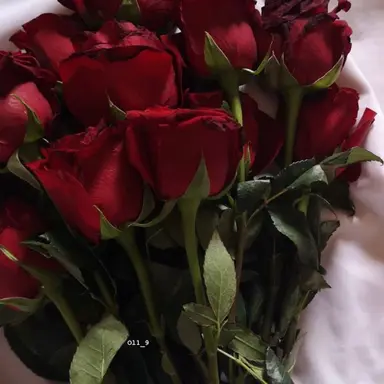 Profile image of 서라더