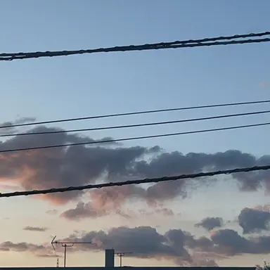 Profile image of 男子生徒たち