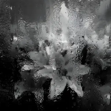 Profile image of 中也