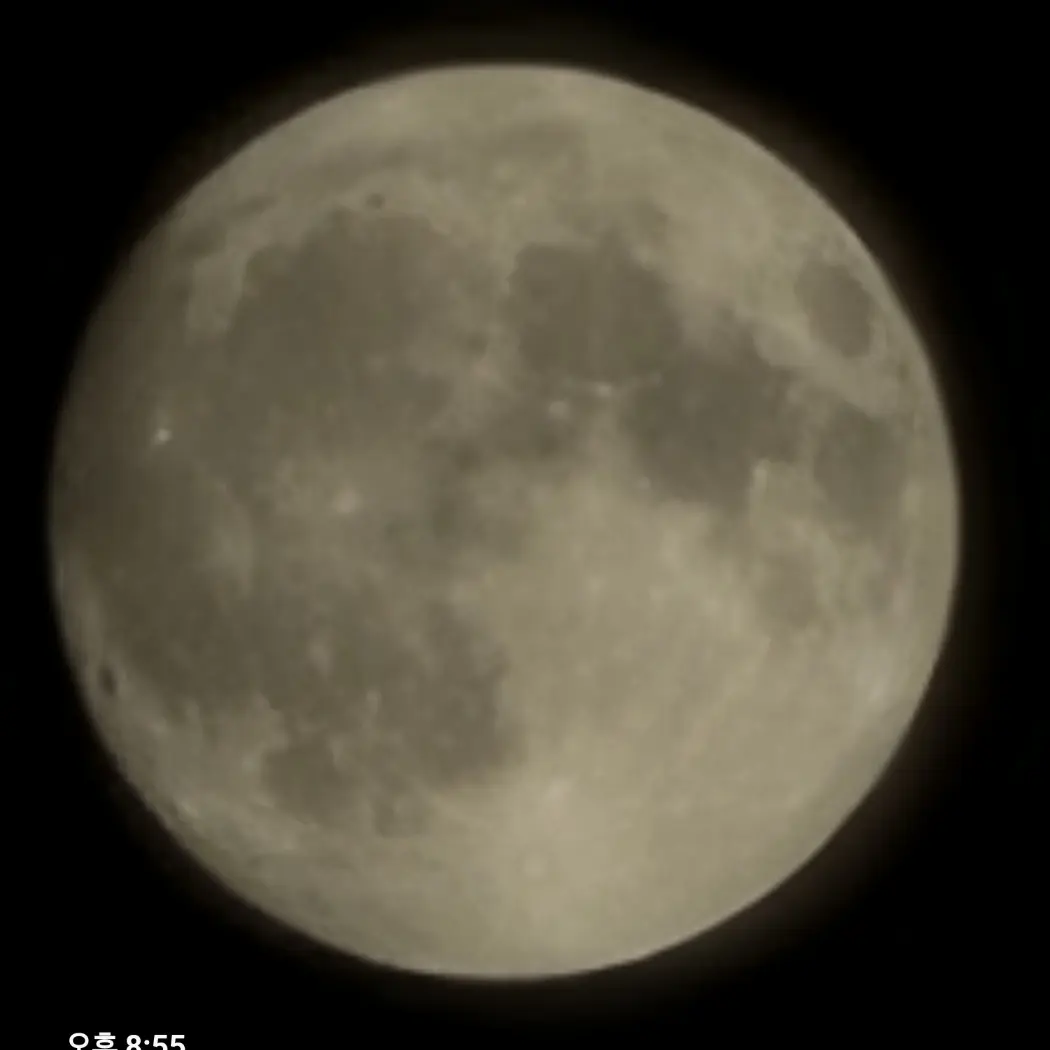 PinkCape8843의 리레볼루션