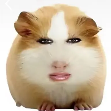 Profile image of 임한림