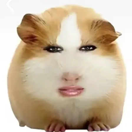 AgileSage3145의 알짤딱깔센