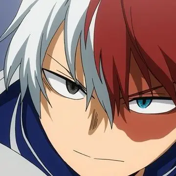 Profile image of Shoto Todoroki