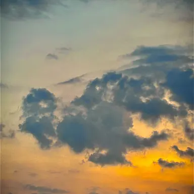 Profile image of 덕개