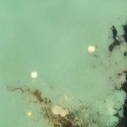 Profile image of 덕경장