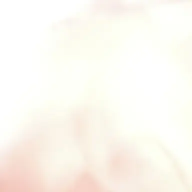 Profile image of ハンス