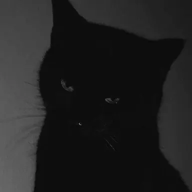 Profile image of ジョンホ