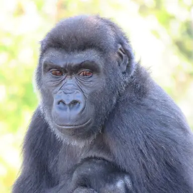 Profile image of 김나영의 원래모습