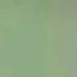 Profile image of 아윤지